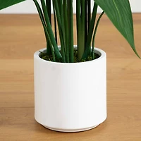 3.5ft. Sky Bird Tree in White Decorative Planter