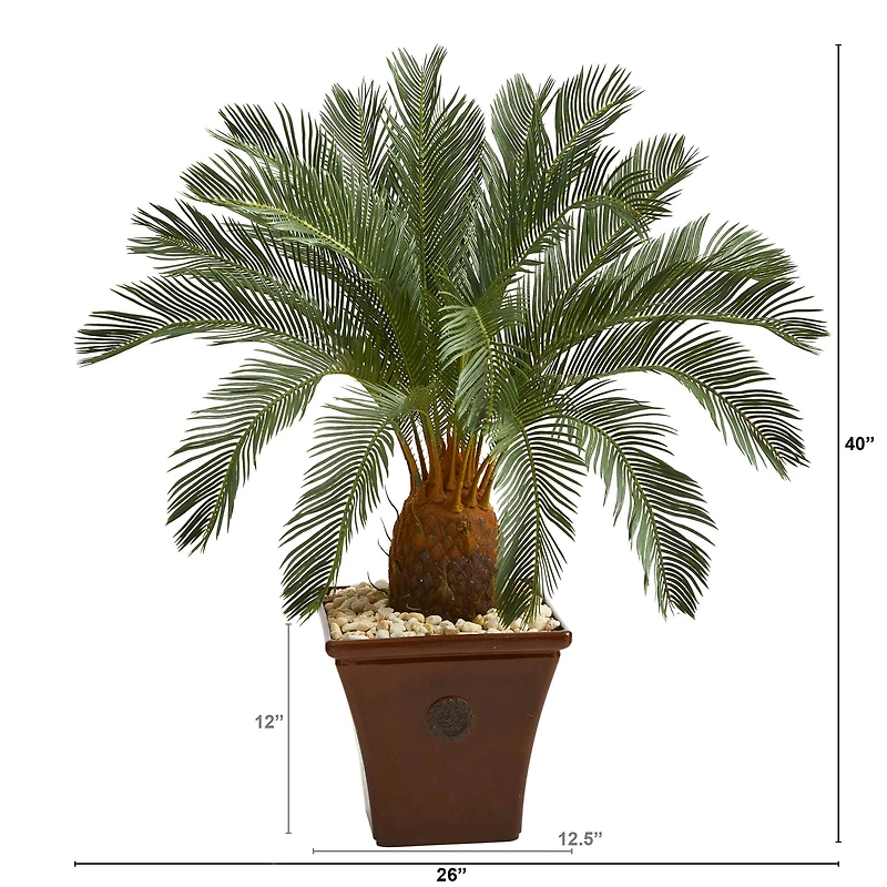3.5ft. Cycas Tree in Brown Planter