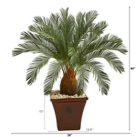 3.5ft. Cycas Tree in Brown Planter