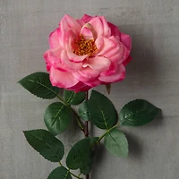 Garden Bloom Orlane Rose Stem Ashland