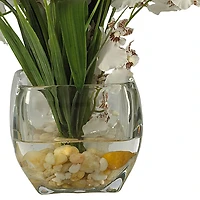 19" White Dancing Lady Orchid Arrangement in Vase
