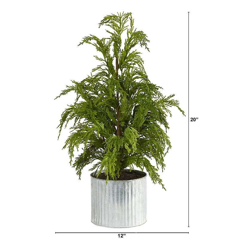 20" Unlit Cedar Pine Artificial Potted Christmas Tree