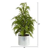 20" Unlit Cedar Pine Artificial Potted Christmas Tree
