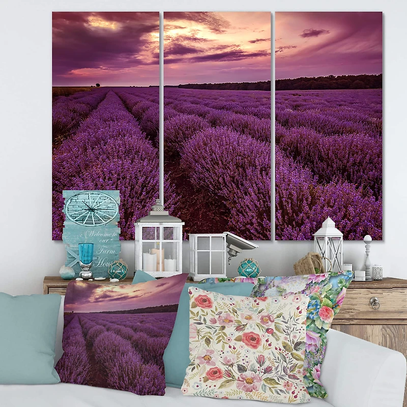 Designart - Sunrise & Dramatic Clouds Over Lavender Field III