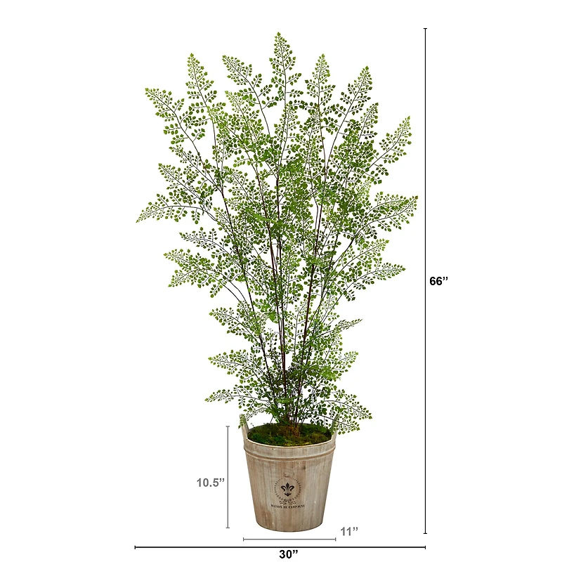 5.5ft. Ruffle Fern Artificial Tree in Farmhouse Planter