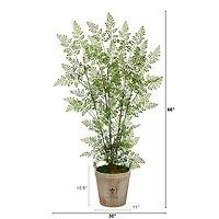 5.5ft. Ruffle Fern Artificial Tree in Farmhouse Planter