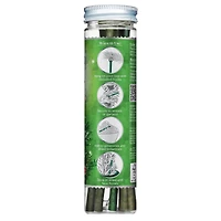 ScentSicles® White Winter Fir Scented Ornament Sticks, 6ct.