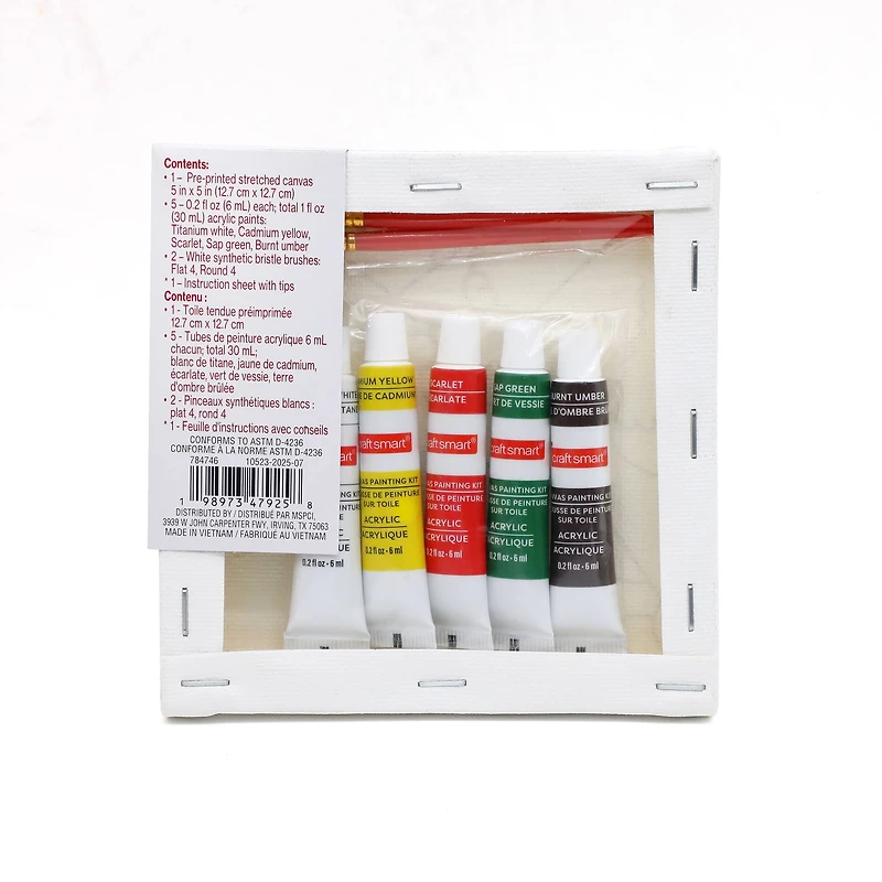 5" x 5" Christmas Cardinals Canvas Painting Kit by Artist's Loft™