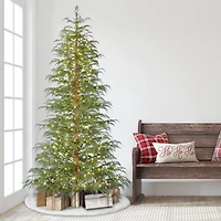 7.5ft. Pre-Lit Cypress Artificial Christmas Tree, Warm White LED Lights
