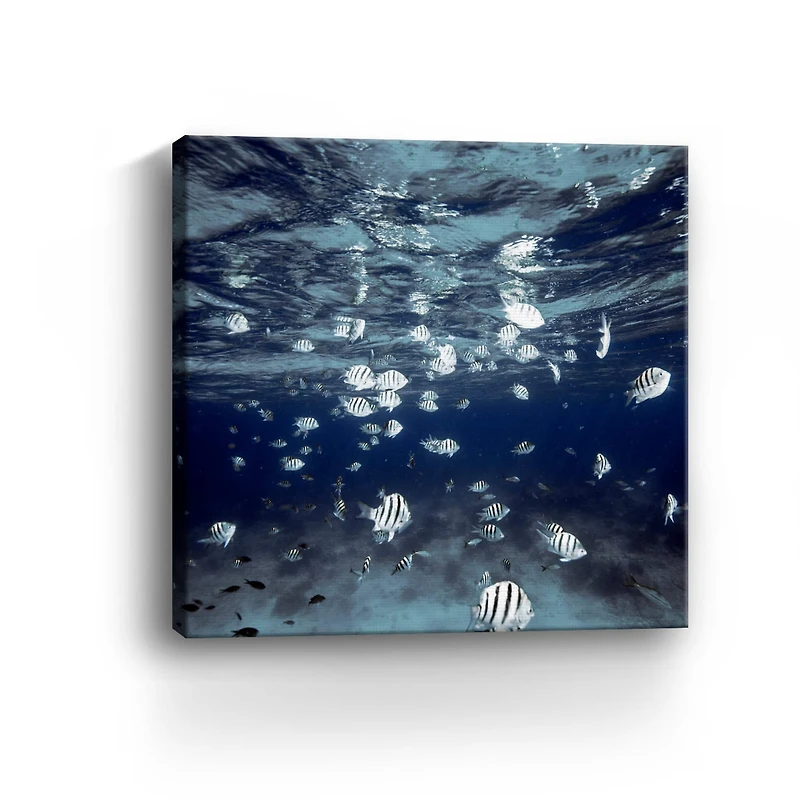 Indigo School Canvas Giclee