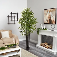 6ft. Potted Black Bamboo Tree