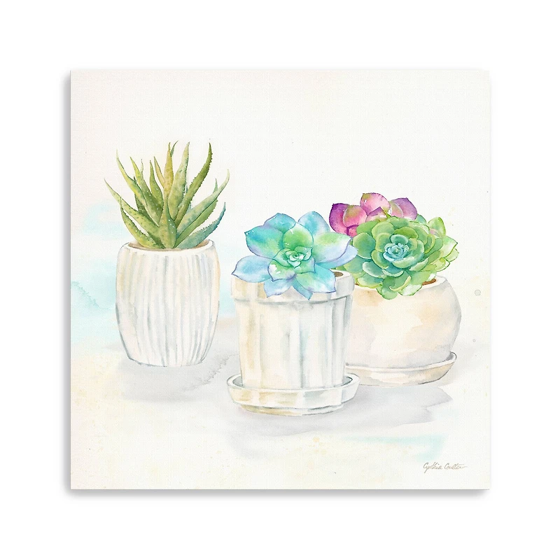 Sweet Succulent Pots IV Canvas Giclee