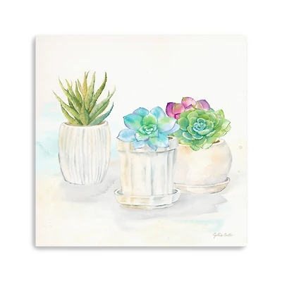 Sweet Succulent Pots IV Canvas Giclee