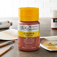Winsor & Newton® Galeria Acrylic® Paint