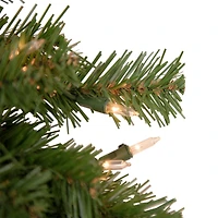 18" Deluxe Dorchester Pine Christmas Wreath, Clear Lights