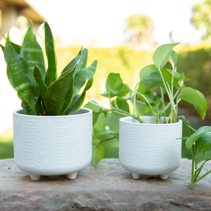 Flora Bunda® Hiero Footed Planter Set
