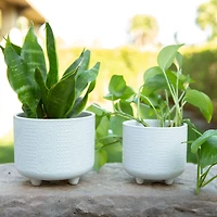 Flora Bunda® Hiero Footed Planter Set