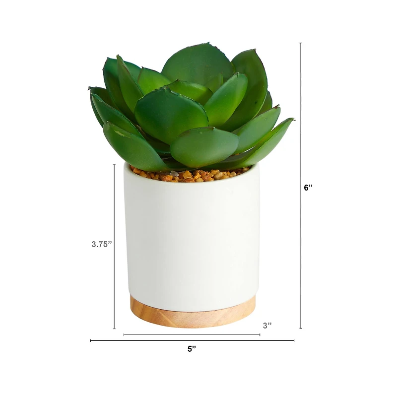 6'' Succulent Artificial Plant in White Ceramic Planter