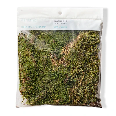 Forest Green Preserved Moss by Ashland®