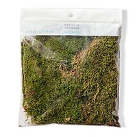 Forest Green Preserved Moss by Ashland®