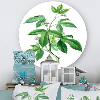 Designart - Vintage Green Leaves Plants V