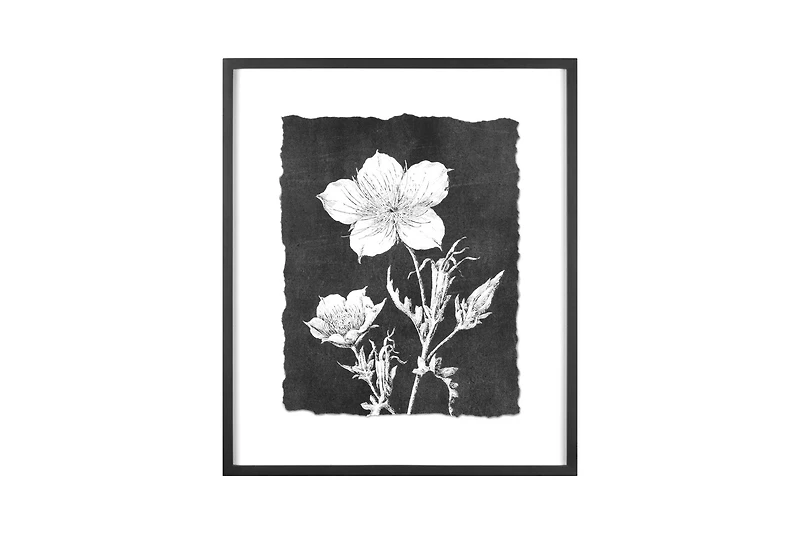 Hello Honey® Black and White Botanical Print Wall Décor with Glass and Wood Frame Set