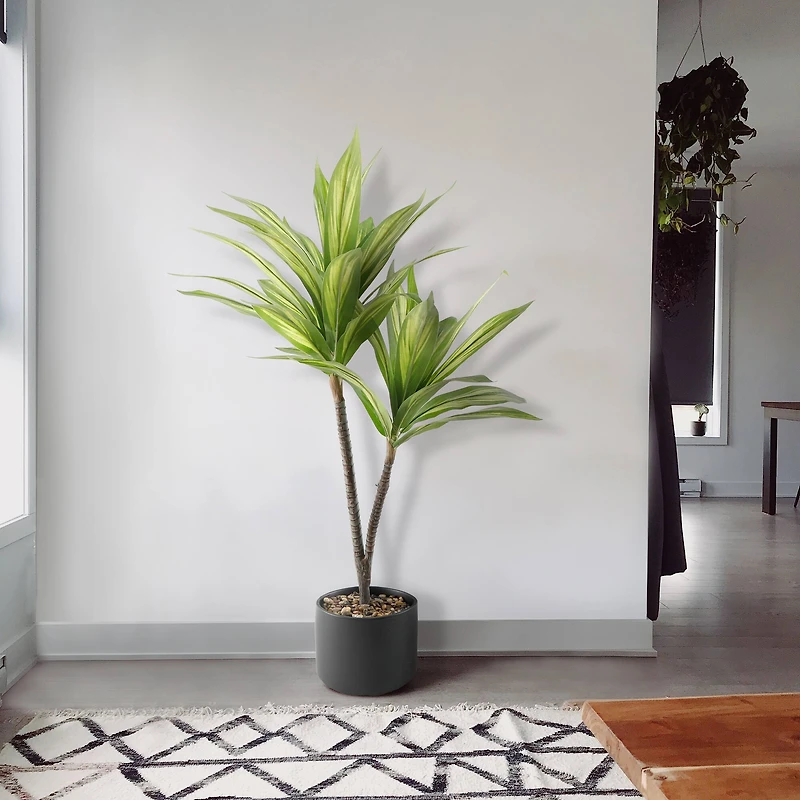 Flora Bunda® 3ft. Palm in Black Ceramic Planter