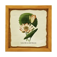 7" Live Life in Full Bloom Framed Tabletop Décor by Ashland®