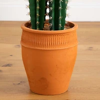 5ft. Cactus in Terracotta Planter