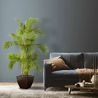 4ft. Potted Areca Palm Tree