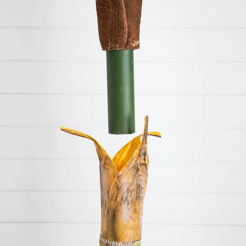 8ft. Potted Coconut Palm Tree