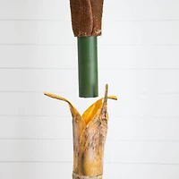 8ft. Potted Coconut Palm Tree