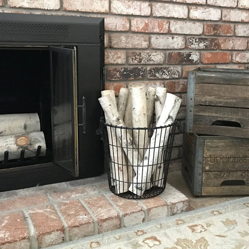 Wilson® Enterprises 6"-8" Large White Birch Fireplace Set, 3ct.