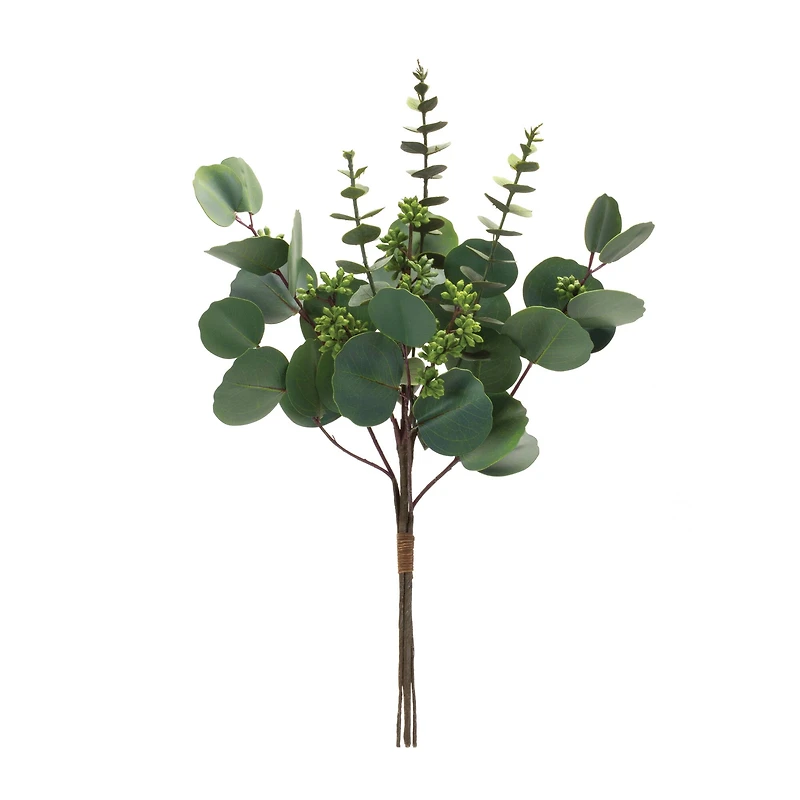 Mixed Eucalyptus Bundle, 6ct.