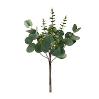 Mixed Eucalyptus Bundle, 6ct.