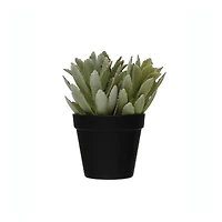 Hello Honey® Faux Succulent In Pot