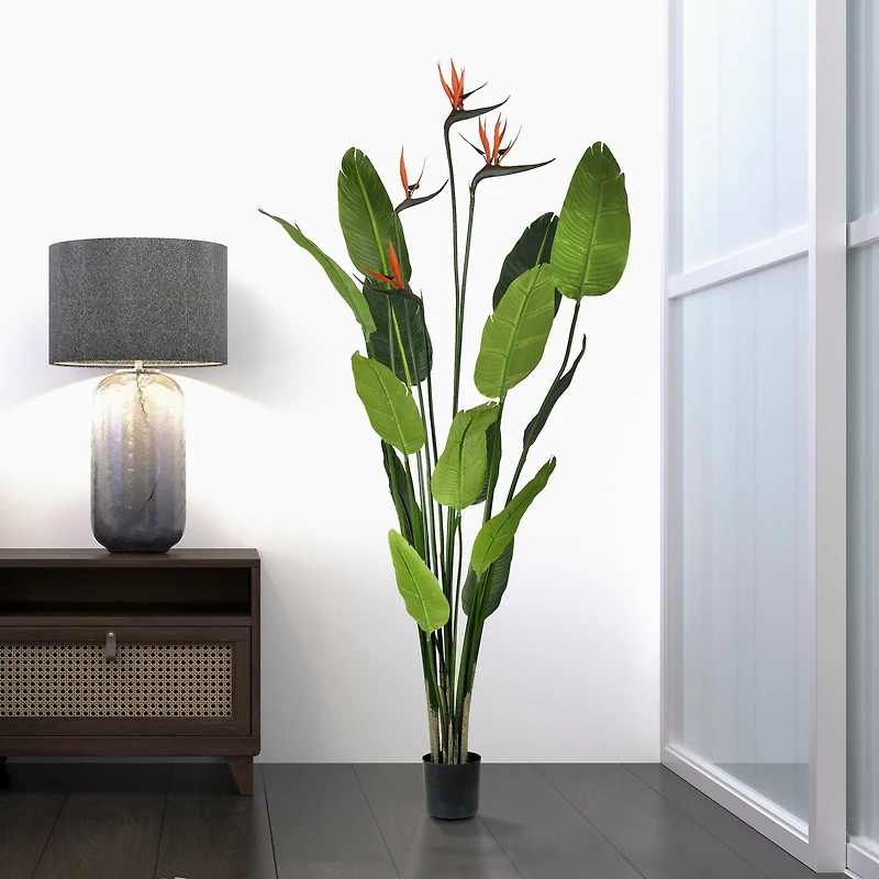 5ft. Potted Bird of Paradise Palm Tree