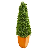 5ft. Eucalyptus Topiary in Orange Planter