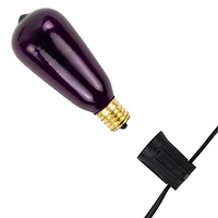 10ct. Purple & Orange Edison E17 Halloween Light Set