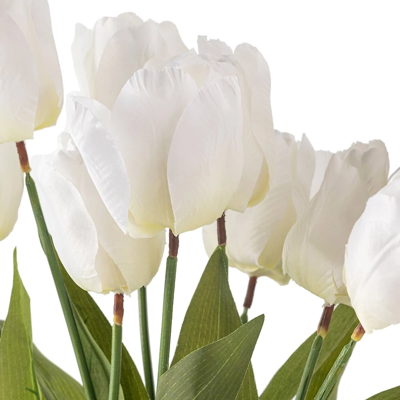 White Tulip Bush by Ashland®