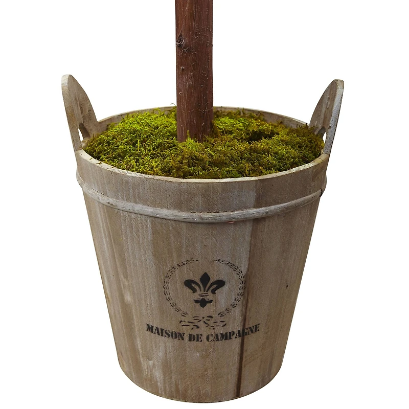 4.5ft. Olive Topiary Tree with Farmhouse Barrel Planter