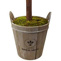 4.5ft. Olive Topiary Tree with Farmhouse Barrel Planter
