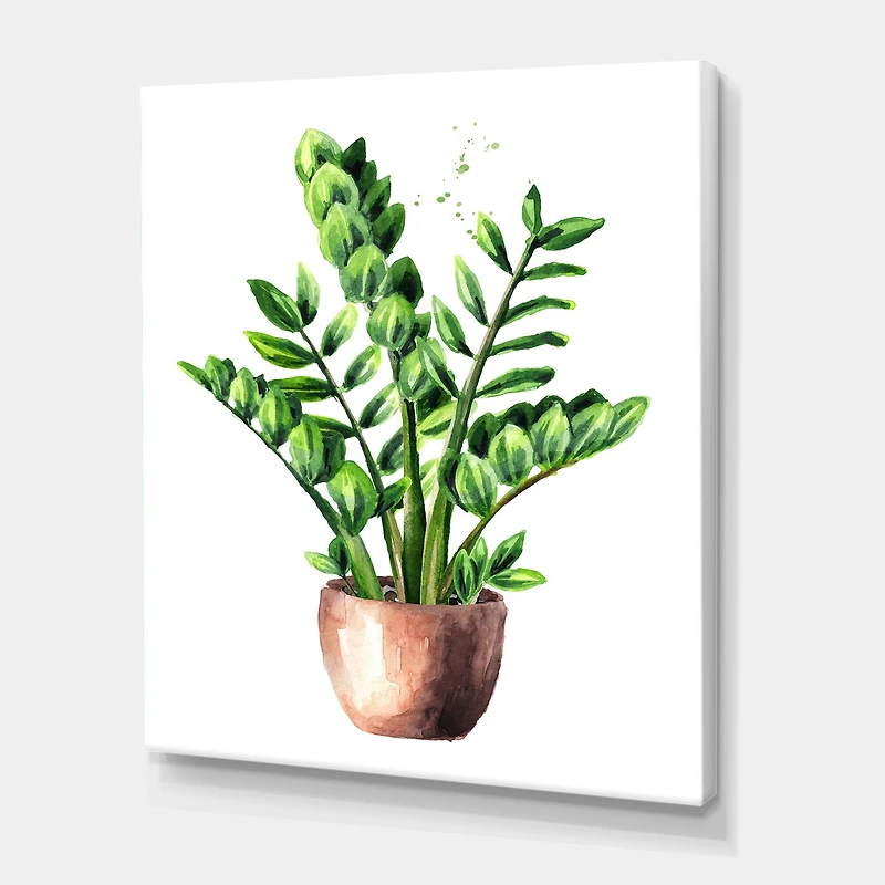 Designart - Zamioculcas Tropical Plant With Green Leaves