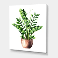 Designart - Zamioculcas Tropical Plant With Green Leaves