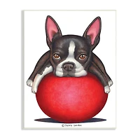 Stupell Industries Boston Terrier Big Red Ball Pet Dog Illustration Wall Plaque