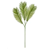 Green Sago Palm Stem by Ashland®