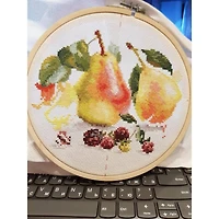 Alisa Pears Cross Stitch Kit