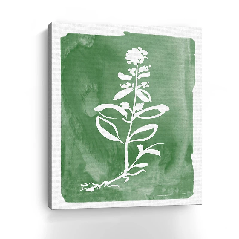 Green Botanical III Canvas Giclee