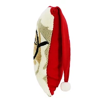 16" Santa Face Throw Pillow by Ashland