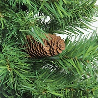 2ft. Unlit Dakota Pine Full Artificial Christmas Tree